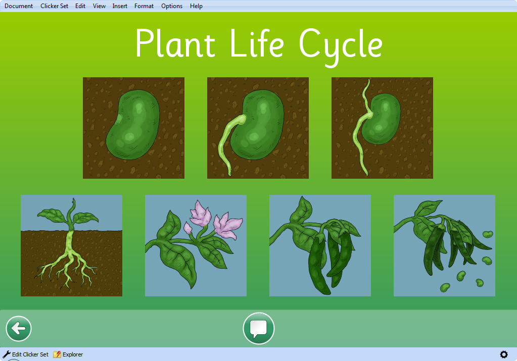 Plant cycle. Plant Life. Цикл жизни растений для детей. Plant Lifecycle. Цикл жизни овощей.